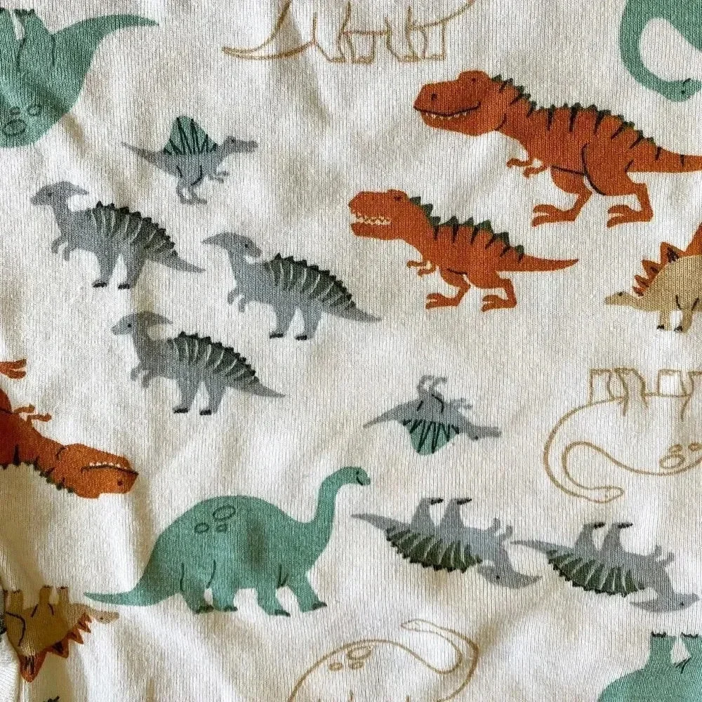 Carter’s | Dinosaur Playset Bundle 🦕🦖 (12 mos)